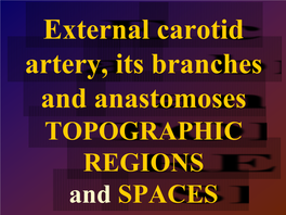 TOPOGRAPHIC REGIONS and SPACES