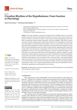 Circadian Rhythms of the Hypothalamus: from Function to Physiology