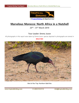 Marvelous Morocco: North Africa in a Nutshell March 2019