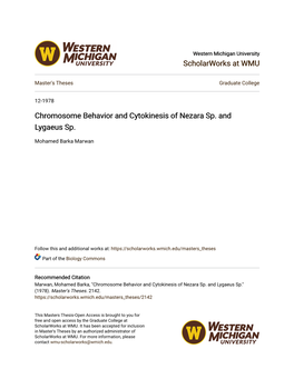 Chromosome Behavior and Cytokinesis of Nezara Sp. and Lygaeus Sp