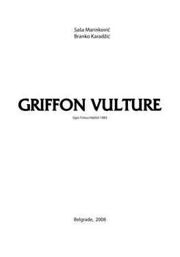GRIFFON VULTURE Gyps Fulvus Hablizl 1883
