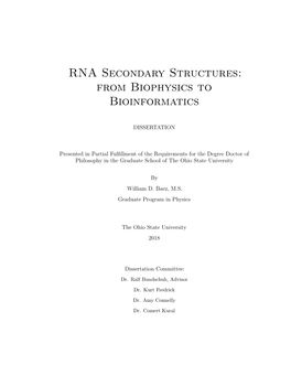 RNA Secondary Structures: from Biophysics to Bioinformatics