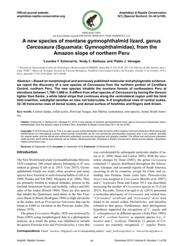 Squamata: Gymnophthalmidae), from the Amazon Slope of Northern Peru