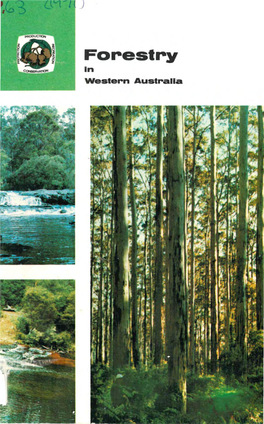 Forestry in Western Australia "''-LIUIINIII \