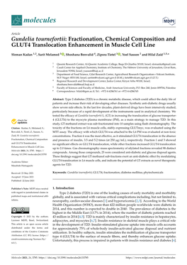 Gundelia Tournefortii: Fractionation, Chemical Composition and GLUT4 Translocation Enhancement in Muscle Cell Line