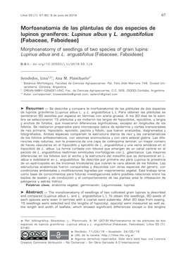 Lupinus Albus Y L. Angustifolius (Fabaceae, Faboideae) Morphoanatomy of Seedlings of Two Species of Grain Lupins: Lupinus Albus and L