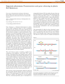 Paramutation and Gene Silencing in Plants Rob Martienssen