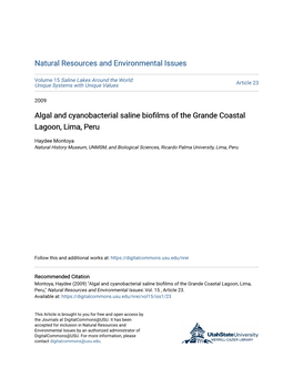 Algal and Cyanobacterial Saline Biofilms of the Grande Coastal Lagoon, Lima, Peru