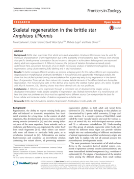 Skeletal Regeneration in the Brittle Star Amphiura Filiformis Anna Czarkwiani1, Cinzia Ferrario2, David Viktor Dylus1,3,4, Michela Sugni2 and Paola Oliveri1,5*