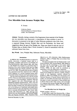 Two Microliths from Javanese Wadjak Man