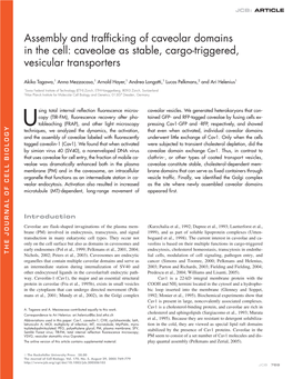 Assembly and Trafficking of Caveolar Domains in The