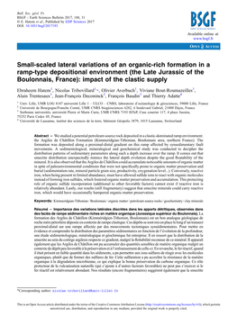 Small-Scaled Lateral Variations of an Organic-Rich