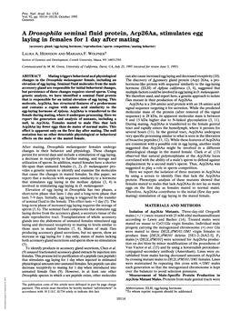 A Drosophila Seminal Fluid Protein, Acp26aa, Stimulates