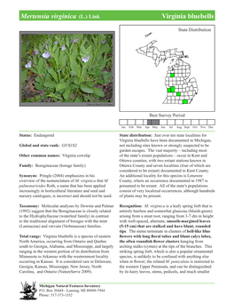 Mertensia Virginica (L.) Link Virginiavirginia Bluebellsbluebells, Page 1