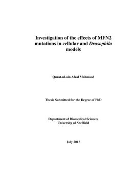 Investigation of the Effects of MFN2 Mutations in Cellular and Drosophila Models