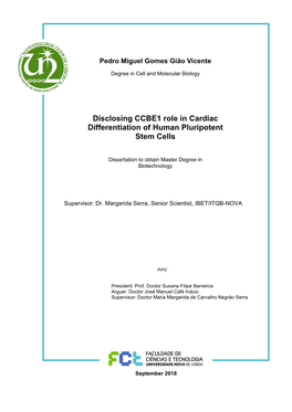 Disclosing CCBE1 Role in Cardiac Differentiation of Human Pluripotent Stem Cells