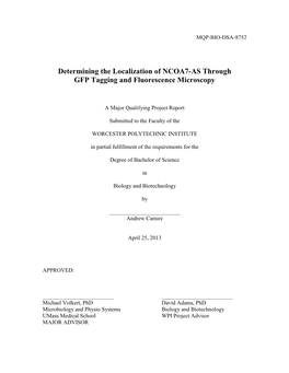 Determining the Localization of NCOA7-AS Through GFP Tagging and Fluorescence Microscopy