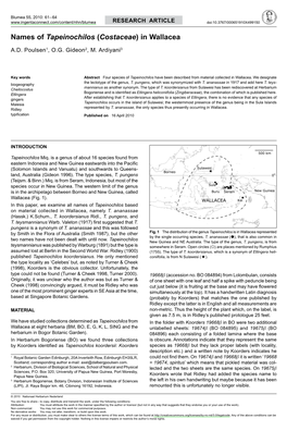 Names of <I>Tapeinochilos</I> (<I>Costaceae</I>) in Wallacea