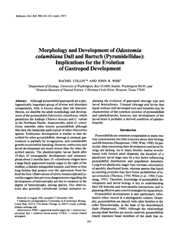 Morphology and Development of Odostomia Columbiana Dall and Bartsch (Pyramidellidae): Implications for the Evolution of Gastropod Development