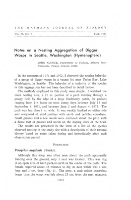 Notes on a Nesting Aggregation of Digger Wasps in Seattle, Washington (Hymenoptera)