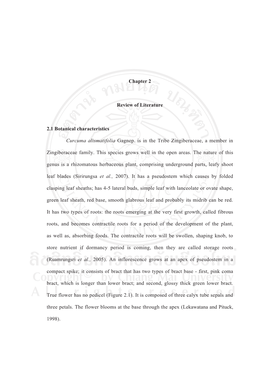 5 Chapter 2 Review of Literature 2.1 Botanical Characteristics Curcuma