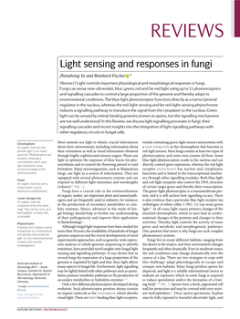 Light Sensing and Responses in Fungi