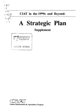 A Strategic Plan Supplement