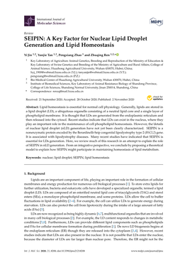 SEIPIN: a Key Factor for Nuclear Lipid Droplet Generation and Lipid Homeostasis