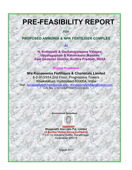 Pre-Feasibility Report