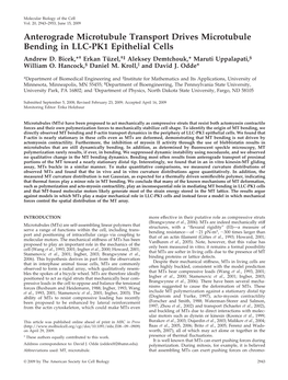 Anterograde Microtubule Transport Drives Microtubule Bending in LLC-PK1 Epithelial Cells Andrew D