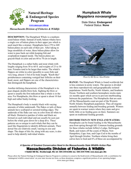 Natural Heritage Humpback Whale & Endangered Species Megaptera Novaeangliae Program