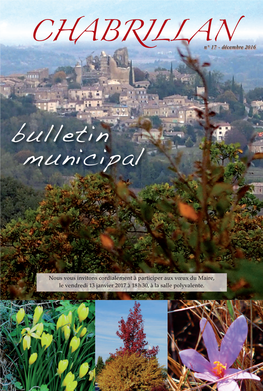 Bulletin N°17