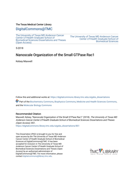 Nanoscale Organization of the Small Gtpase Rac1