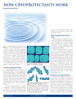 HOW Cryoprotectants Work