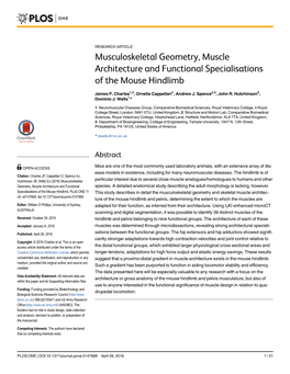 Musculoskeletal Geometry, Muscle Architecture and Functional Specialisations of the Mouse Hindlimb