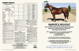 MARGIE's WILDCAT 2001 Chestnut - Dosage Profile: 7-4-12-1-0; DI: 2.43; CD: +0.71