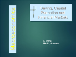 Saving, Capital Formation and Financial Markets