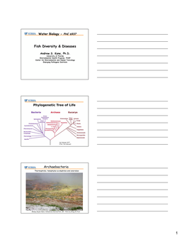Fish Diversity & Diseases Archaebacteria