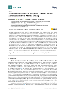 A Biomimetic Model of Adaptive Contrast Vision Enhancement from Mantis Shrimp