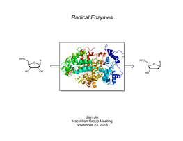 SAM Radical Enzymes