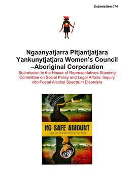 Ngaanyatjarra Pitjantjatjara Yankunytjatjara Women's Council About Npywc Child Nutrition & Well Being Program