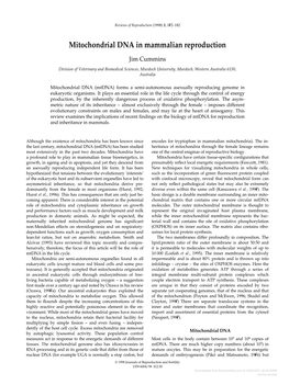 Mitochondrial DNA in Mammalian Reproduction