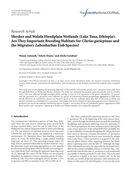 Research Article Shesher and Welala Floodplain Wetlands (Lake Tana, Ethiopia): Are They Important Breeding Habitats for Clarias