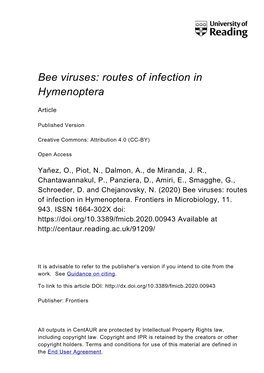 Bee Viruses: Routes of Infection in Hymenoptera