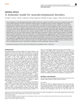 A Molecular Model for Neurodevelopmental Disorders