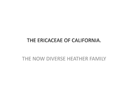 The Ericaceae of California