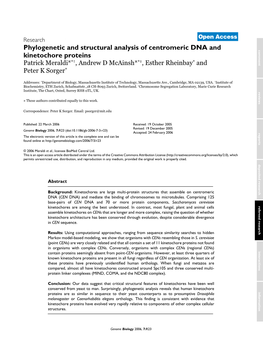 Phylogenetic and Structural Analysis of Centromeric DNA and Kinetochore