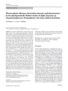 Photosynthetic Efficiency, Desiccation Tolerance and Ultrastructure in Two Phylogenetically Distinct Strains of Alpine Zygnema Sp