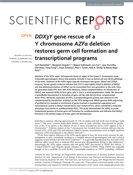 DDX3Y Gene Rescue of a Y Chromosome Azfa Deletion Restores Germ Cell Formation and Transcriptional Programs