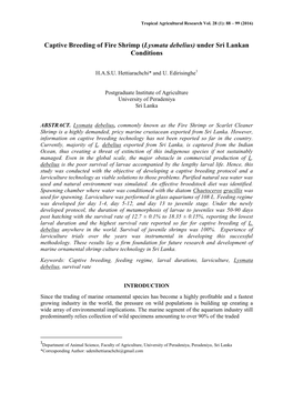 Captive Breeding of Fire Shrimp (Lysmata Debelius) Under Sri Lankan Conditions